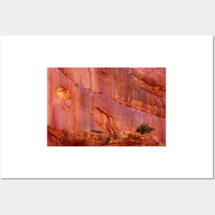 Wall Art ~ Capitol Reef, UT USA Posters and Art
